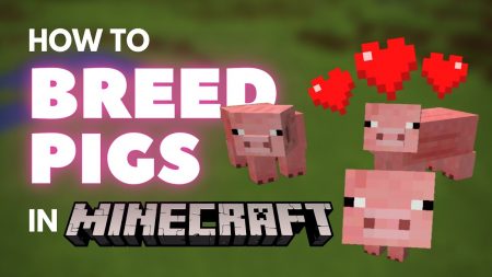 How to Breed Pigs in Minecraft
