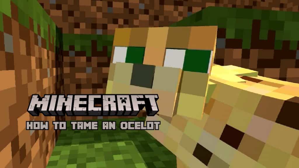 How to Tame an Ocelot in Minecraft