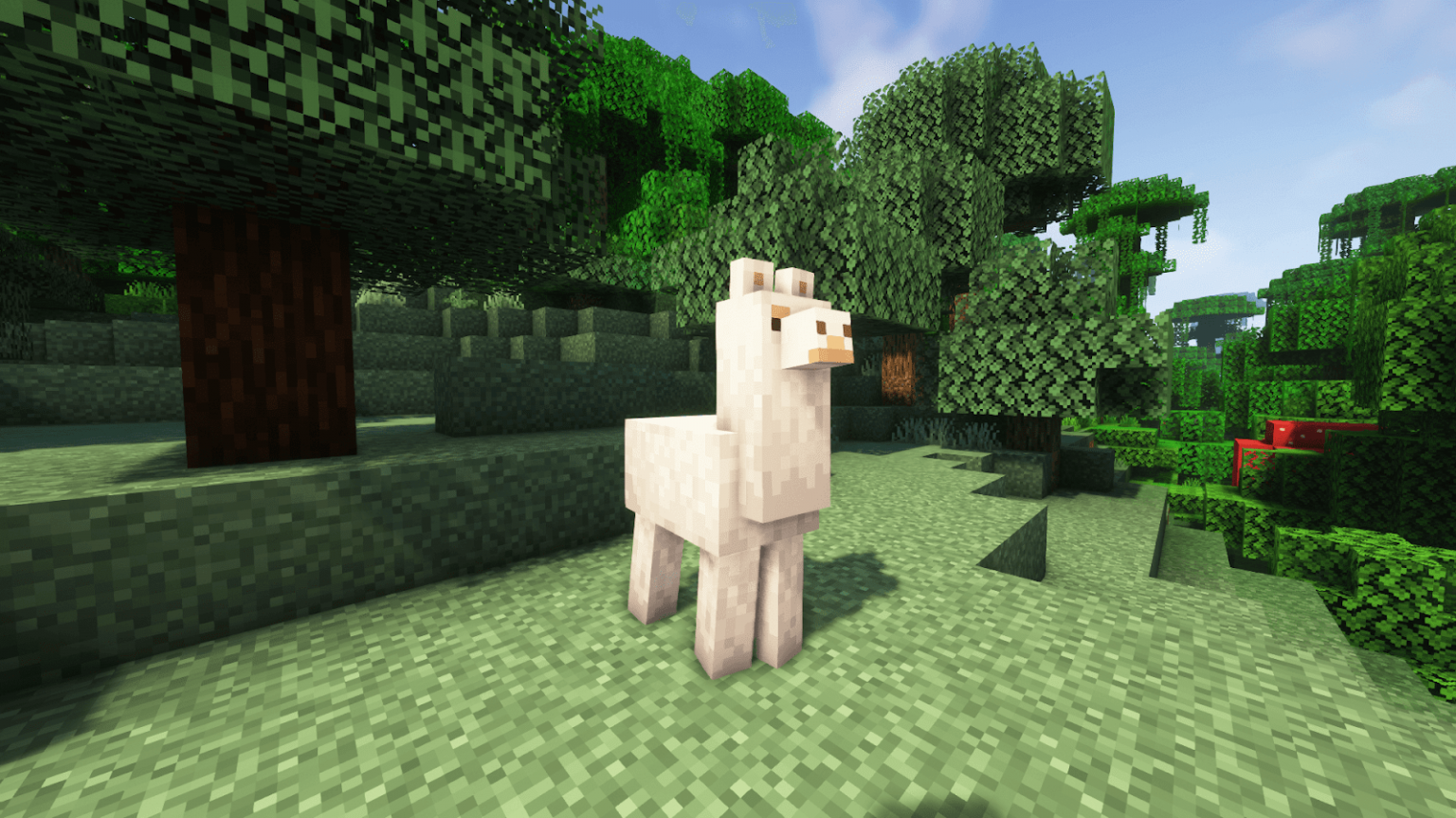 what do llamas eat in minecraft