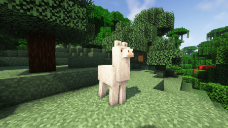 What Do Llamas Eat in Minecraft what do llamas eat in minecraft