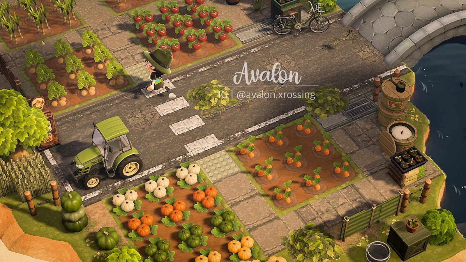 Vegetable Garden Acnh Farm Ideas Vegetable Garden Acnh Farm Ideas