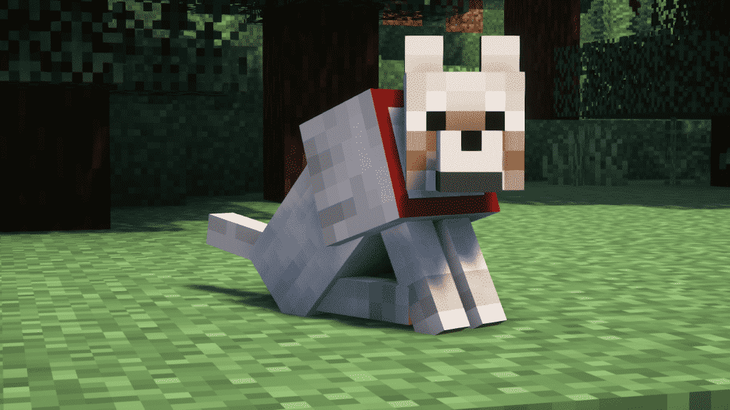 how to tame a wolf in minecraft