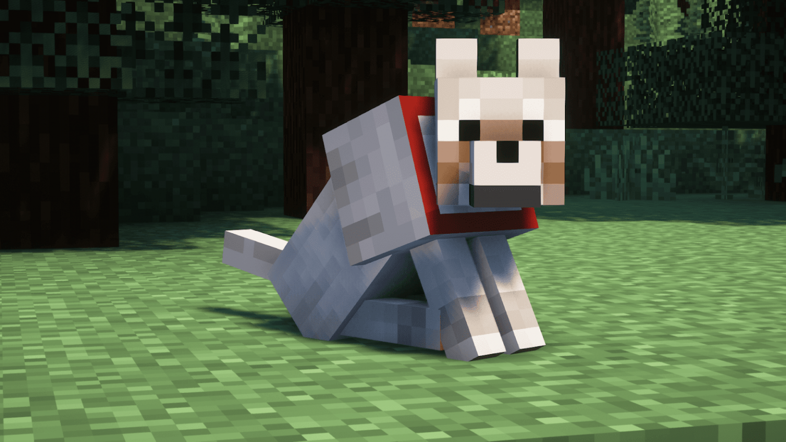 how to tame a wolf in minecraft