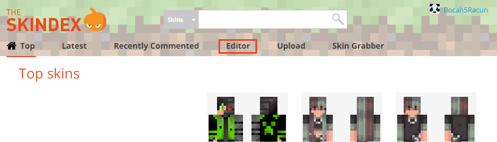 open skindex editor minecraft