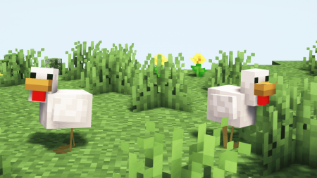 what do chickens eat in minecraft