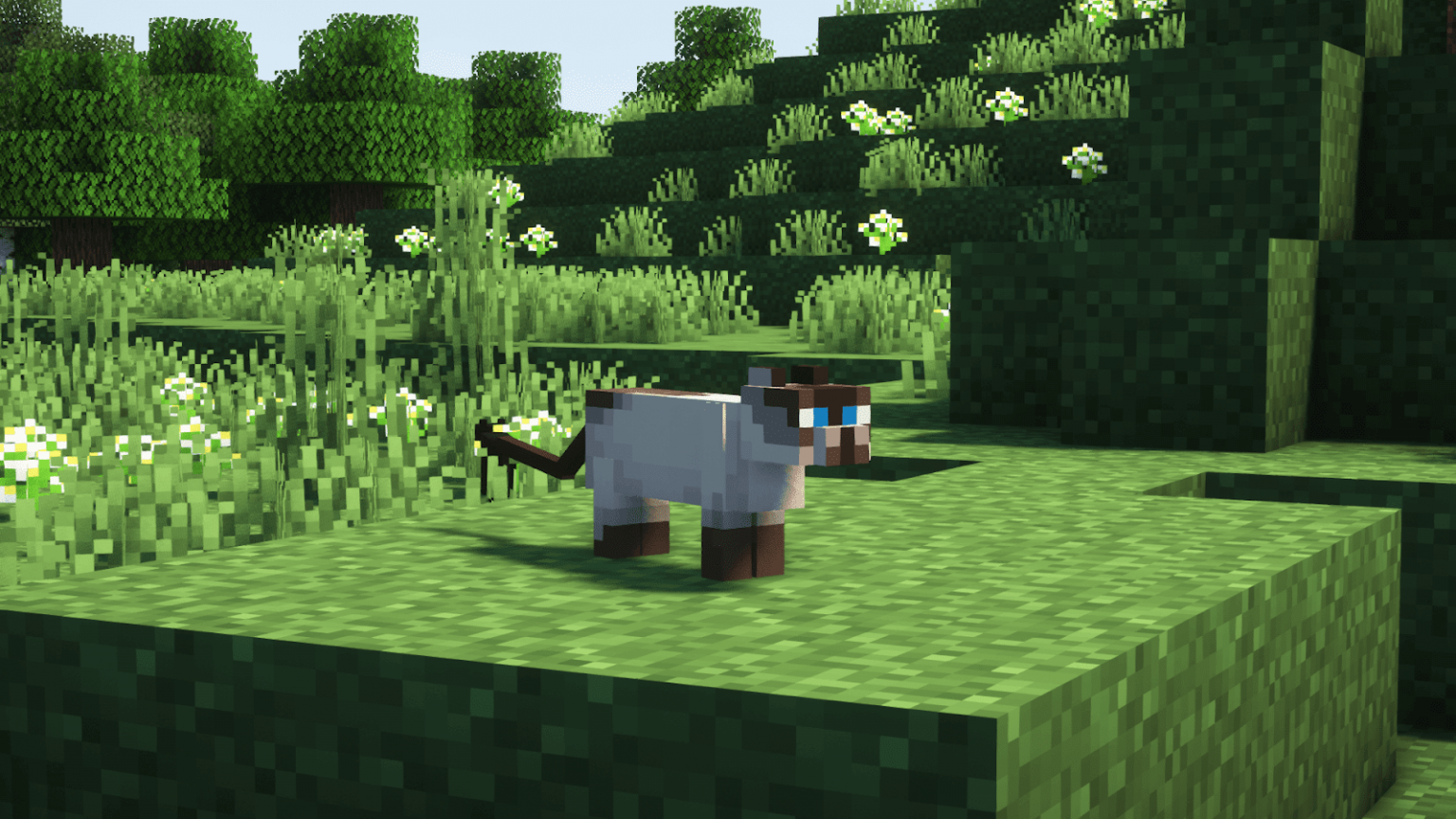 what do cats eat in minecraft