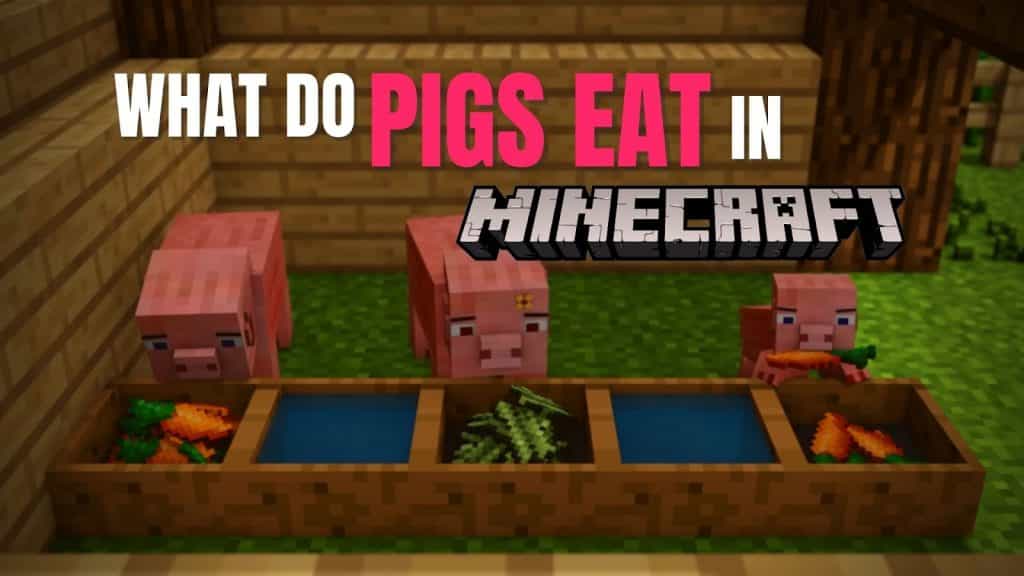 What Do Pigs Eat in Minecraft? what do pigs eat in minecraft