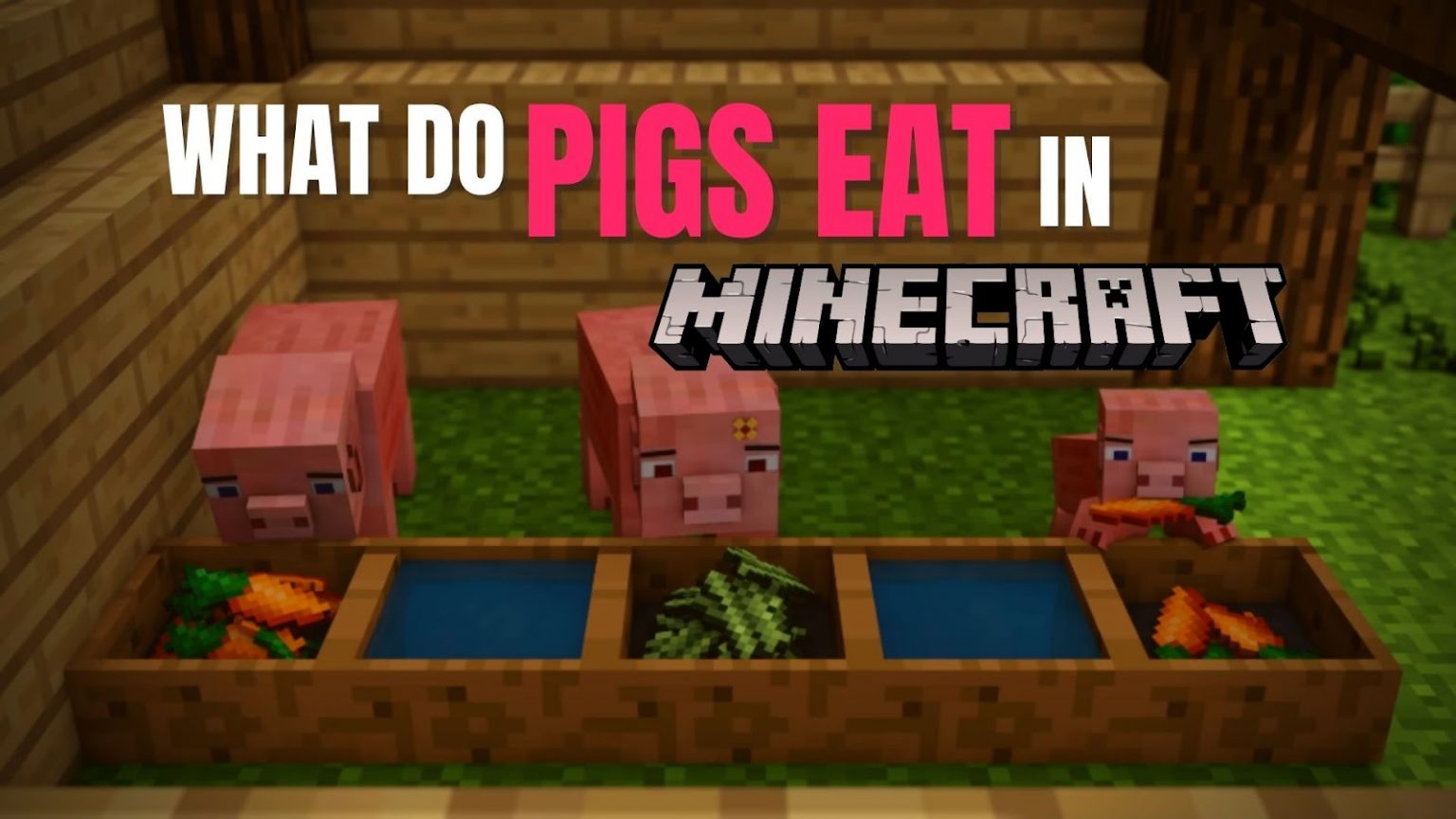 what do pigs eat in minecraft