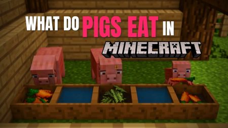 What Do Pigs Eat in Minecraft? what do pigs eat in minecraft