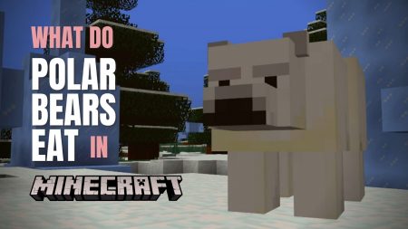 what do polar bears eat in minecraft