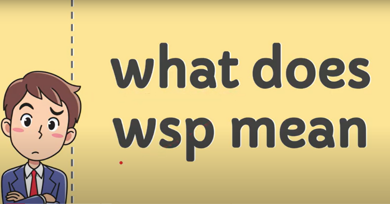 wsp meaning on the internet