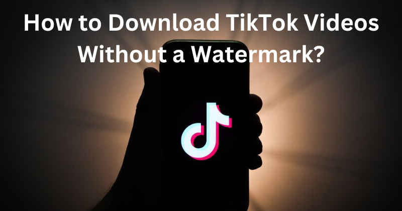 Download TikTok Videos Without a Watermark