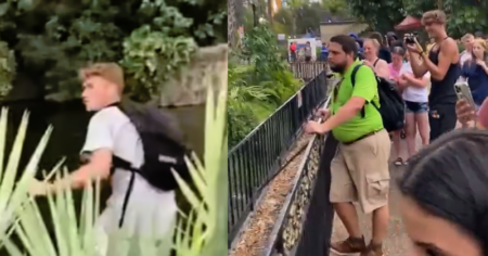 TikTok User Faces Legal Consequences After Trespassing into Alligator Exhibit for Online Clout TikToker jumps into Alligator Exhibit