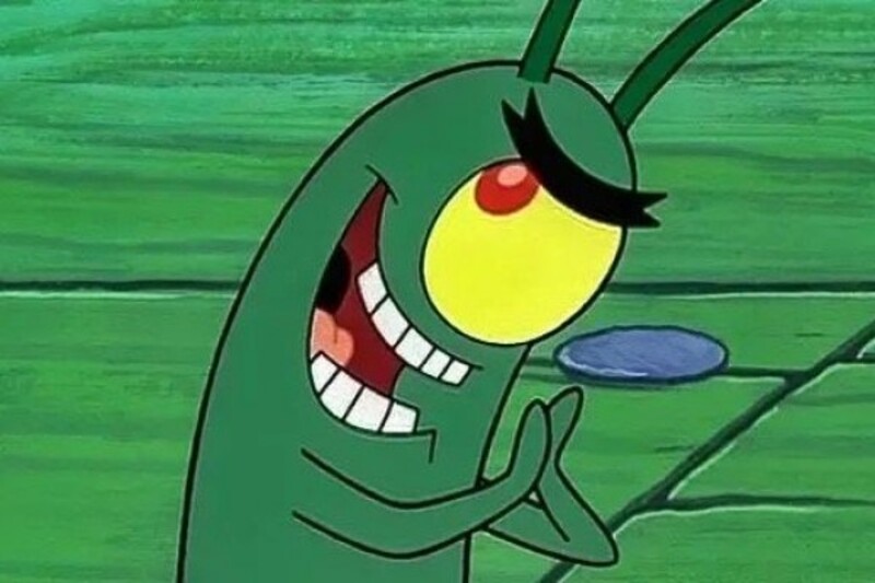 plankton