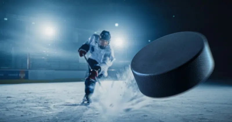 Hockey Puck